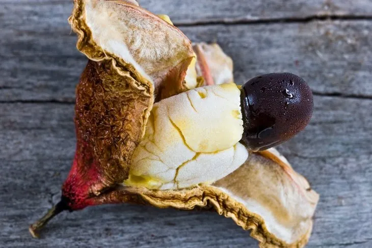 Dikkat! Bu patates ölüme neden oluyor