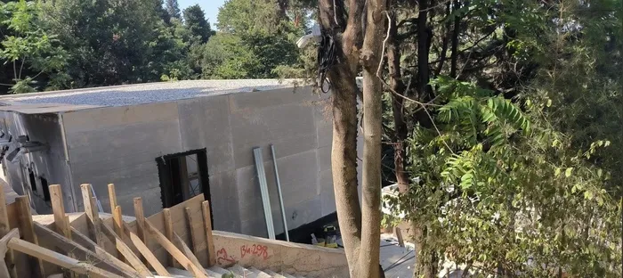 Vaniköy skandalında yeni gelişme! CHP’li İBB’nin göz yumduğu belgelendi: Ağaç kıyımına basit onarım kılıfı