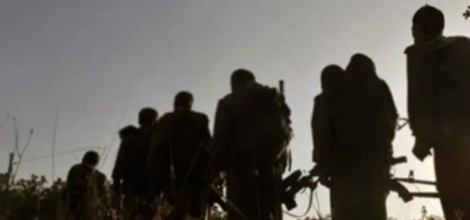 Terör örgütü PKK’ya ağır darbe: Yakalandı