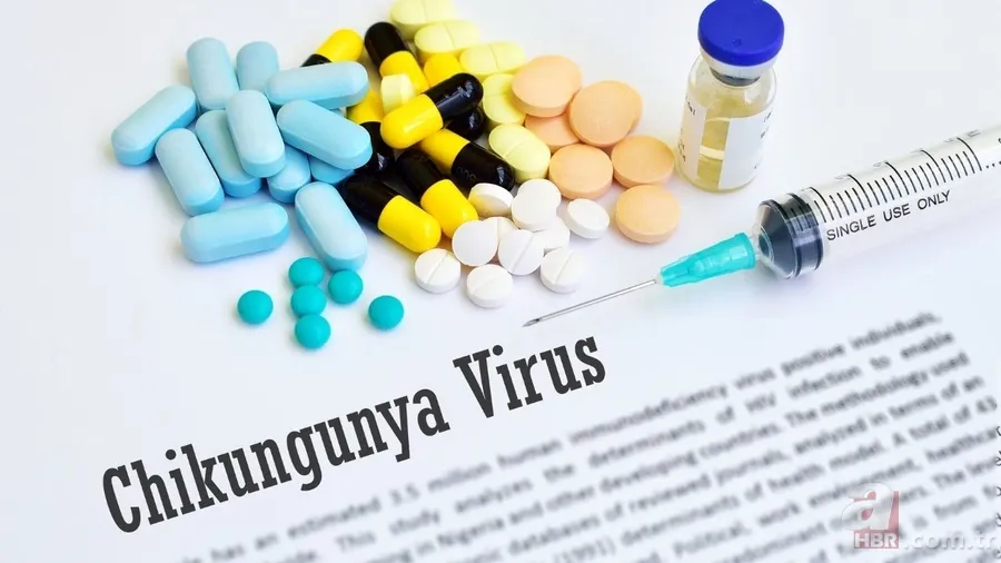 Çin’de virüs alarmı: Chikungunya virüsü nedir? Chikungunya hastalığı nasıl bulaşır, belirtileri neler, tedavisi mümkün mü? 3