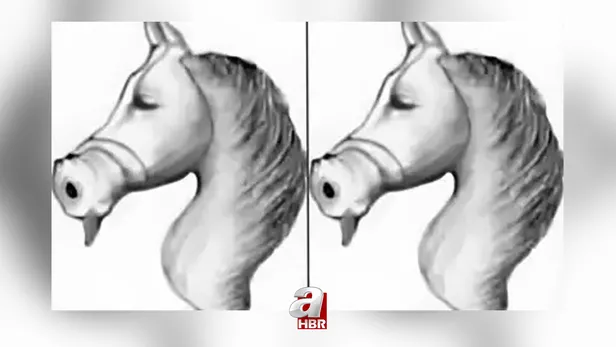 optik-illuzyon-gizli-ati-5-saniyede-bulabilir-misin-1697443192822.jpg Optik illüzyon: Gizli atı 5 saniye içinde bulabilir misin? - 3