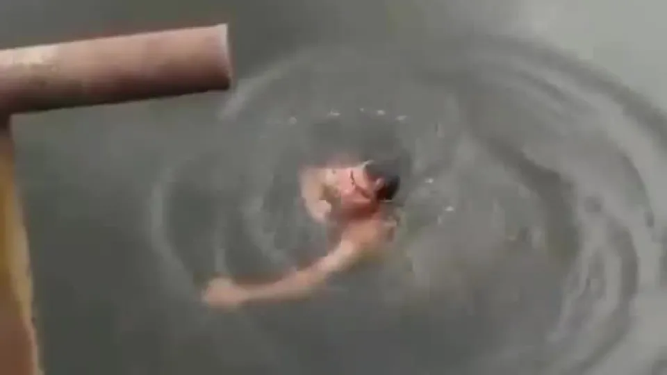 Timsah dolu gölde dehşet anları!