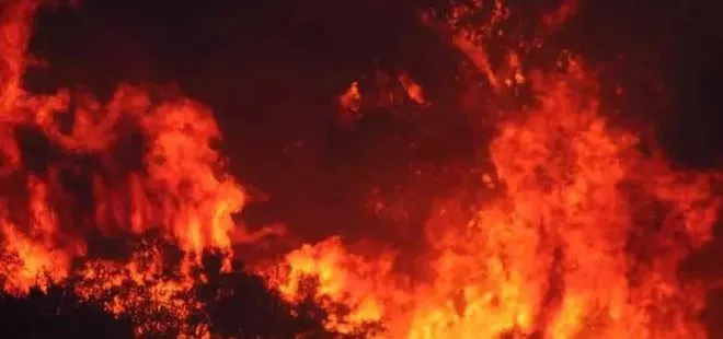 Eskişehir'de kereste deposunda yangın!