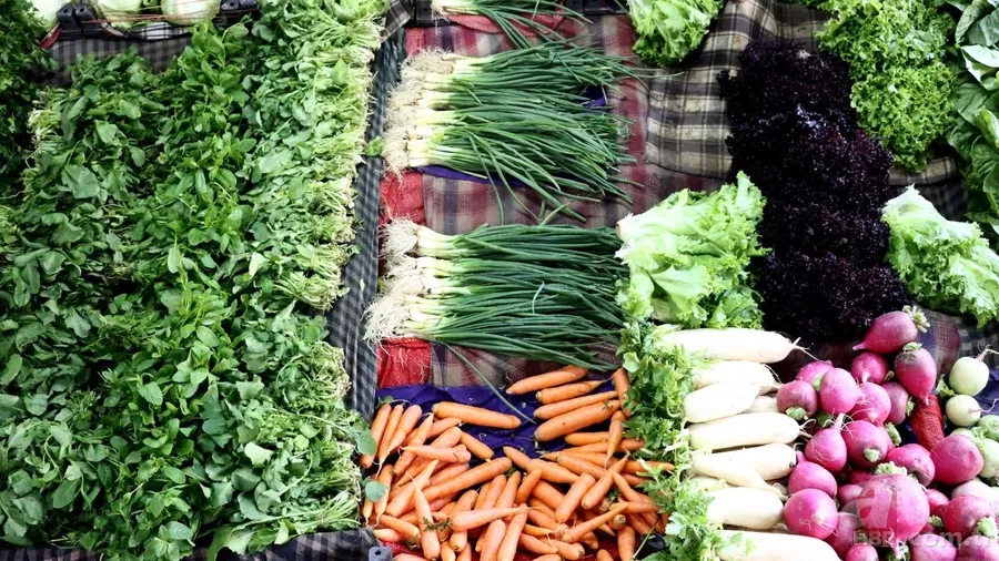 Savaşın yeni cephesi sofra: Gübre fiyatları tarımını sarsıyor, küresel gıda krizi kapıda 9