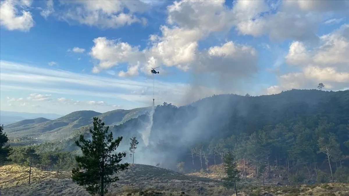 Balıkesir'deki orman yangını kontrol altında