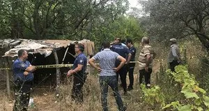 İncir ağacının dalları arasında korkunç ölüm