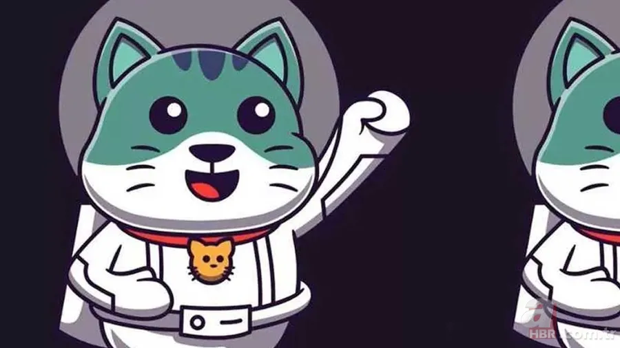 Kedinizin Fotoğraflarında Gizlenen 3 Farkı 10 Saniyede Bulabilir misiniz? 1