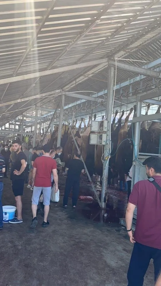 CHP'li belediyeler bayramı halka zehir etti! İstanbul'da kurban kesim rezaleti kamerada! Vatandaş isyan etti - 4