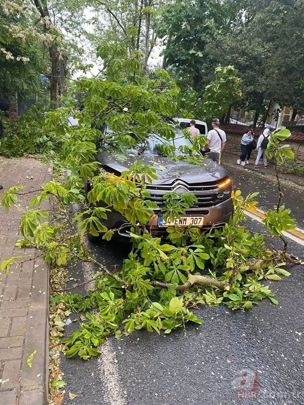 İstanbul’u sağanak ve rüzgar vurdu! Ağaçlar devrildi çatılar zarar gördü...