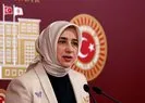 AK Partili Özlem Zengin: Kim kadınları anlarsa kazanmış oluyor
