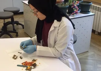 Nun Okulları'ndan büyük başarı