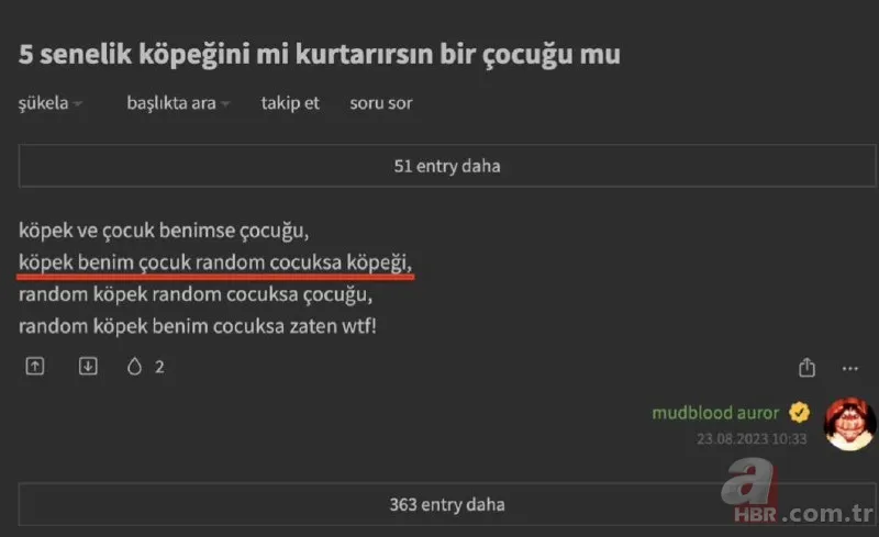Ekşi Sözlük skandalı bitmek bilmiyor! 'Bir çocuğu mu kurtarırsınız yoksa bir köpeği mi?' sorusuna mide bulandıran cevaplar 21