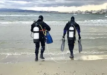 Saatte 6 litre su temizliyor: Marmara pinaların, pinalar da Marmara’nın son umudu