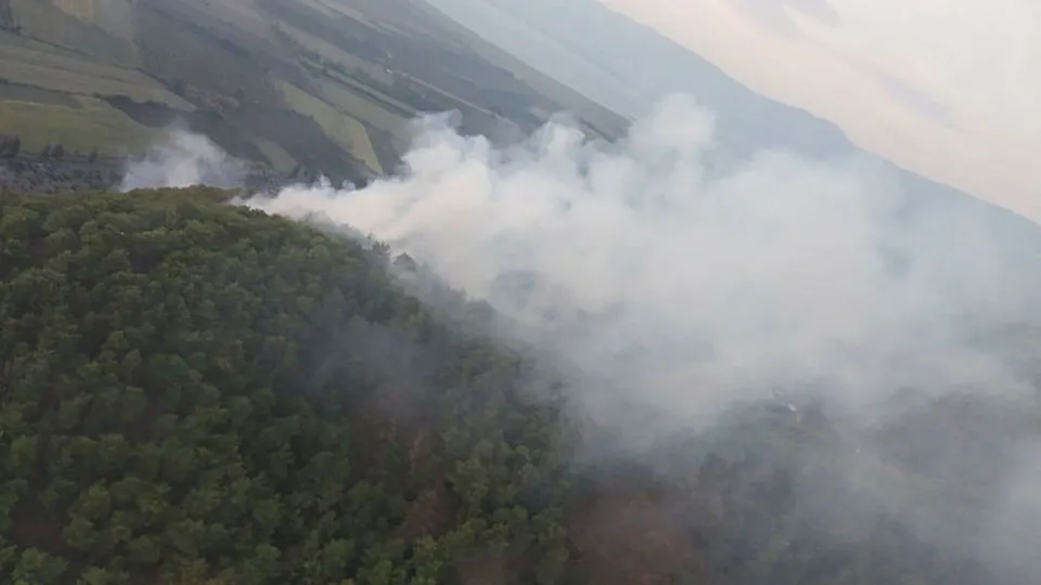 Muğla’nın Ortaca ilçesinde orman yangını