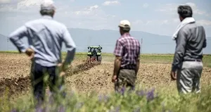 Çiftçiye kefilsiz, faizsiz limiti yüksek kredi!