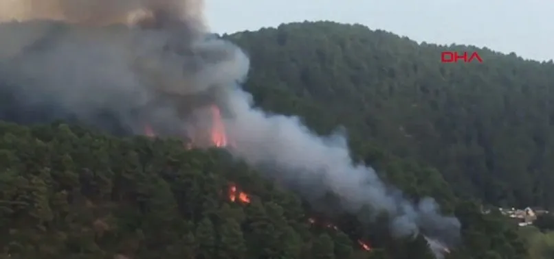 Son Dakika Beykoz Da Ormanlik Alanda Yangin