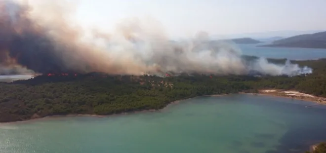 Ayvalık'ta orman yangını