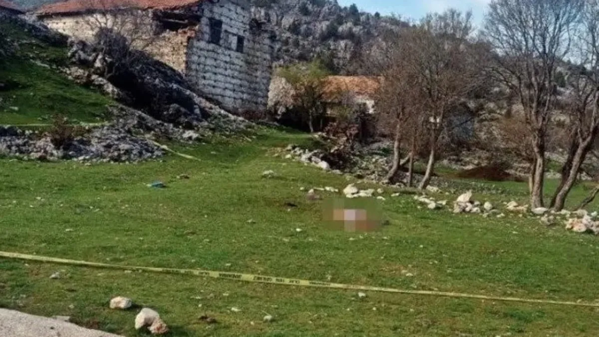 Ölümüne sebebiyet veren köpeklerin sahibinden vicdanları sızlatan savunma