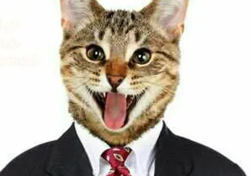 Facebook'ta kedi fotoğrafı paylaşanlar dikkat!