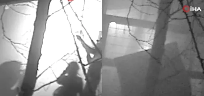 170 yıllık ünlü müze soyuldu! Hırsızlar önce patlattı sonra 2500 yıllık eseri çaldı