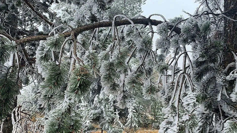 Kars Sarıkamış'ta hava buz kesti! Sıcaklık eksi 10 derecede