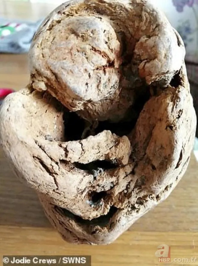 Yürüyüş yaptıkları sırada buldular! Fosil zannedip eve götürdükleri nesne bomba çıktı 7