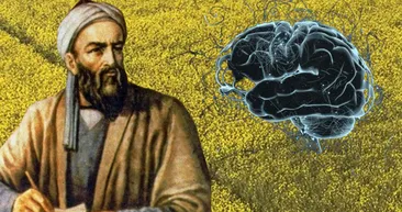 İbn-i Sina’nın ’şifa kaynağı’ dediği baharat! Unutkanlığa savaş açıyor! Hafızayı güçlendirmek için aç karnına...