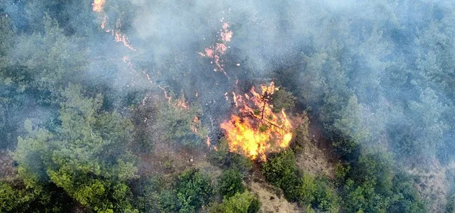 Karabük’te korkutan orman yangını! Alevler kontrol altında