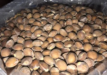 Siirt bıttımının fiyatı altınla yarışıyor