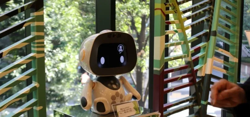 Dünyada ilk, bu otelde robotlar çalışıyor