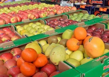 Hükümetten ucuz meyve hamlesi