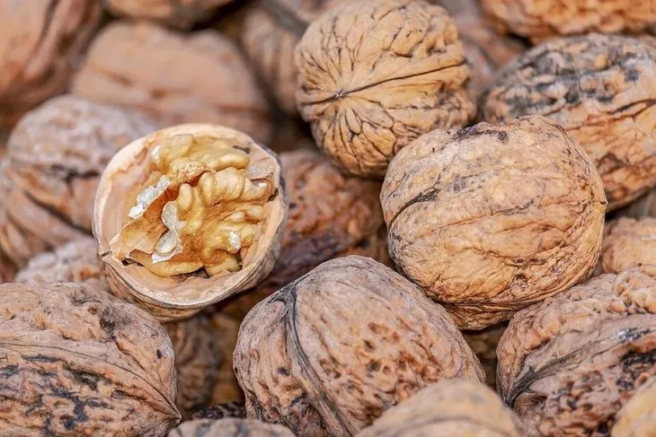 Faydaları saymakla bitmiyor! Cevizin insan sağlığına faydaları neler? Ceviz ile zayıflamak mümkün mü? Uzman isim tek tek anlattı