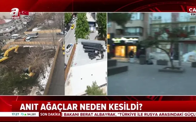 CHP'li belediyeden ağaç katliamı!