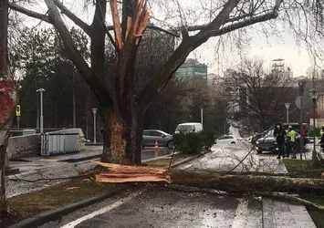 Son dakika: TBMM bahçesine yıldırım düştü!