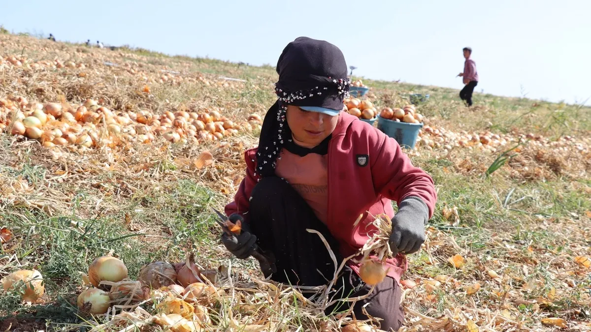 Çocuk işçiliğinde sıfır tolerans: Türkiye’den ölçülebilir sonuçlar ve yeni nesil mücadele modeli