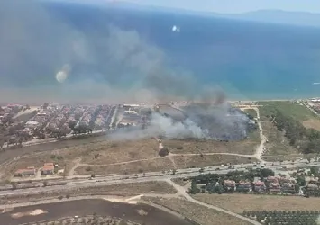 İzmir'de sazlık alanda korkutan yangın: Kontrol altına alındı | Ekipler inceleme başlattı
