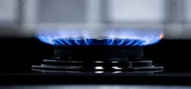 Bakan Göktaş duyurdu! Doğal gaz destek ödemeleri başladı