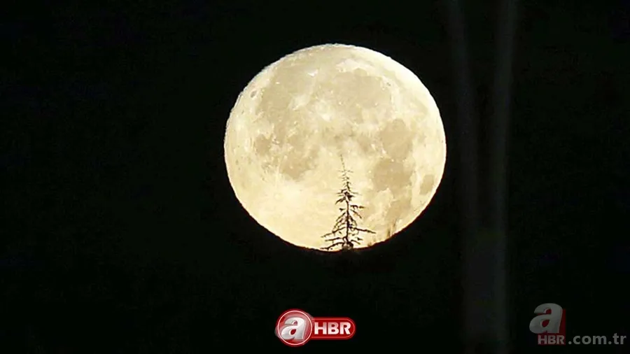 Başak burcunun etkisine hazır olun! DOLUNAY 2023 ne zaman? Mart ayı dolunay/yeni ay ne zaman, hangi tarihte? Hangi burcu nasıl etkileyecek? 1