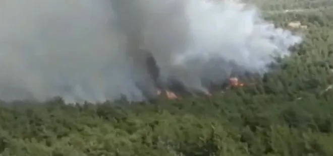 Son dakika: Muğla’da orman yangını! Çok sayıda ekip müdahale ediyor...
