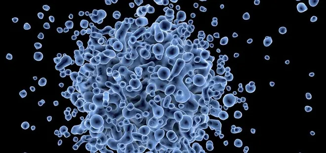 Havuz ve deniz sonrası görülen enfeksiyonlara dikkat!