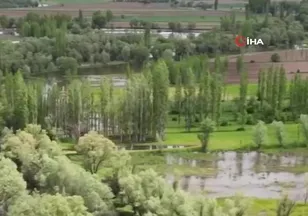 Kano sezonuna su seviyesi engeli