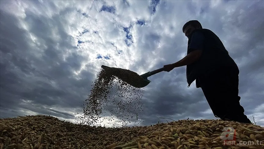 Mazot ve Gübre Desteği yattı mı, ne zaman yatacak? Tarımsal destek ödemeleri ÇKS ekranı... 4