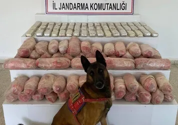 Van'da zehir tacirlerine operasyonu: 67 kilo uyuşturucu ele geçirildi