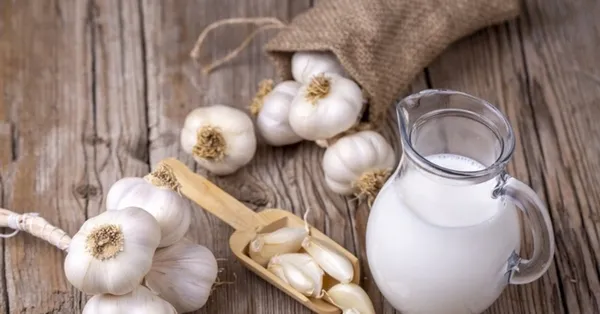 sut-ve-sarimsak-mucizesi-faydalarini-kimse-bilmiyordu-bu-ikiliyi-birlikte-tuketirseniz-1695995878420.jpg Sarımsak ve sütün inanılmaz faydaları! Bu ikisini birlikte tüketirseniz... - 4