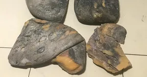 Balina kusmuğu operasyonu! Değeri dudak uçuklattı