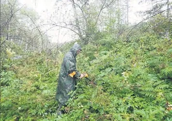 Sibirya'da Çin Seddi benzeri yapı keşfedildi