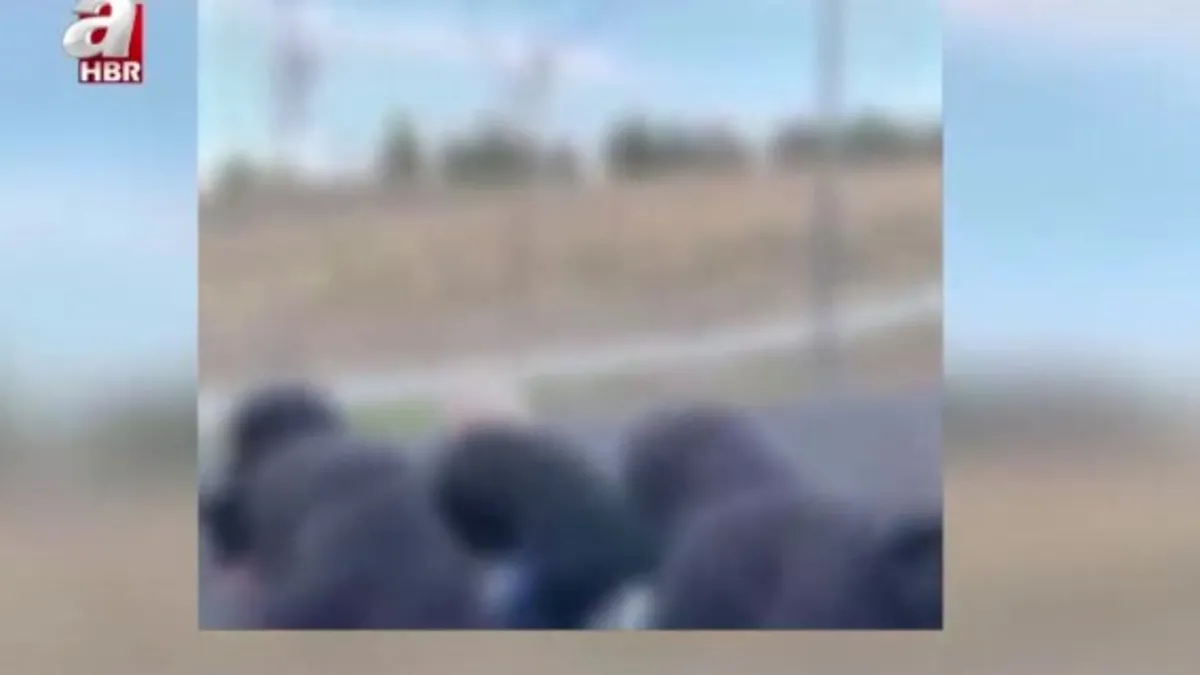 TikTok'ta büyük tepki çeken akım