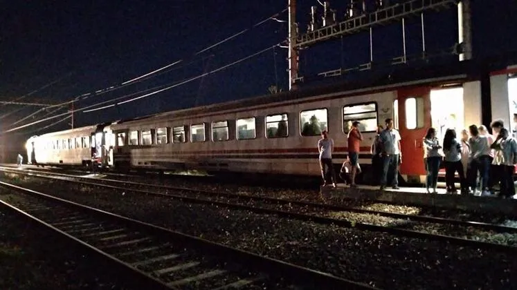 Evcil hayvanla trene binen kadın kavga çıkardı, tren 2 saat rötar yaptı - 1