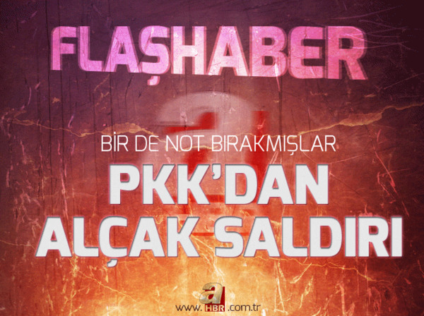 Lice'de baba oğlun öldürülmesi olayını PKK üstlendi - 1