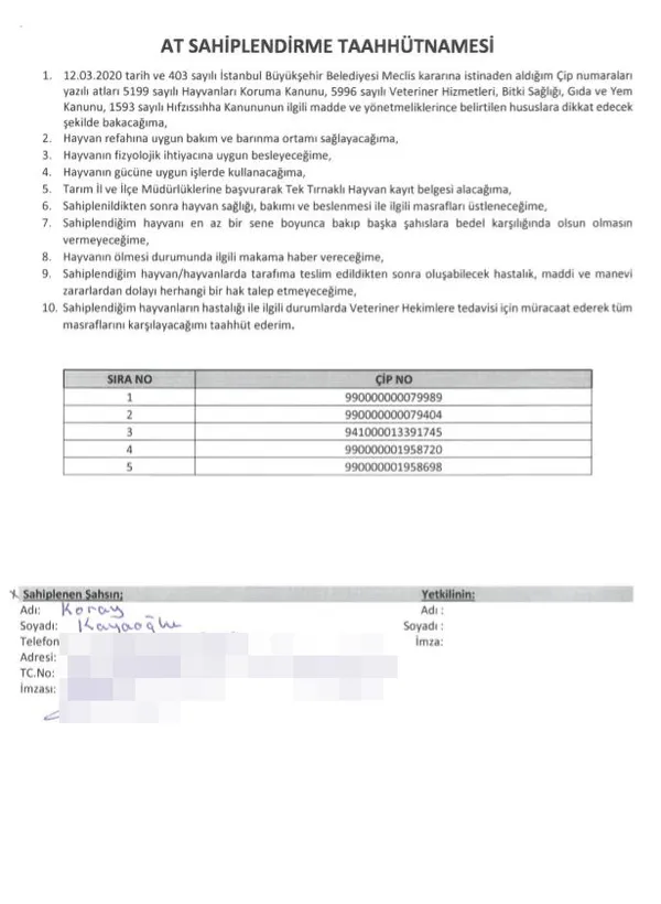 ibb-baskani-imamoglu-israrla-yalan-soyluyor-at-skandalinda-yeni-gelisme-1620765470695.jpg İBB Başkanı İmamoğlu ısrarla yalan söylüyor! At skandalında yeni gelişme - 1